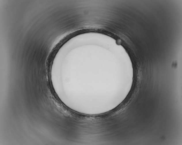 X0000114151022200911051438