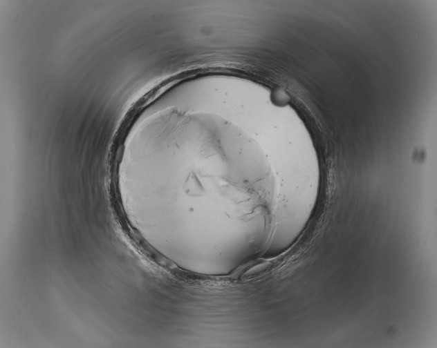 X0000114151024200911051438