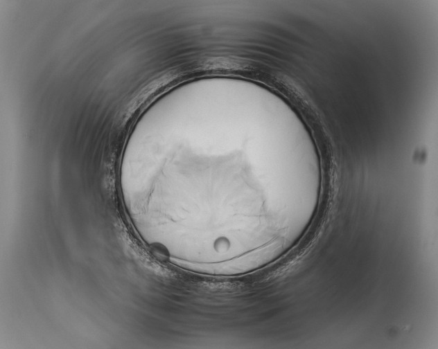 X0000114151025200911051438