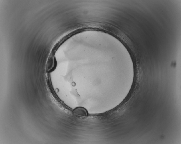 X0000114151028200911051438