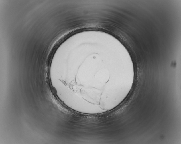 X0000114151029200911051438