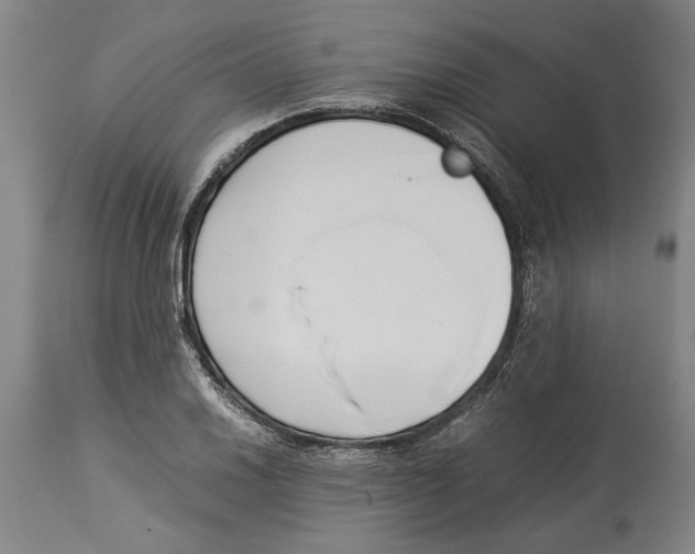 X0000114151030200911051438