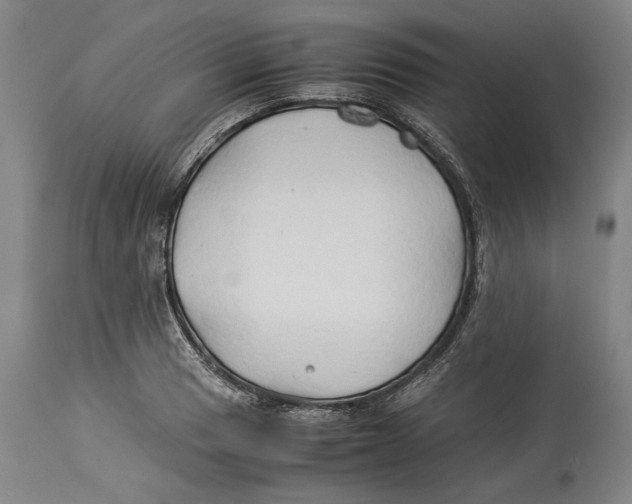 X0000114151033200911051438