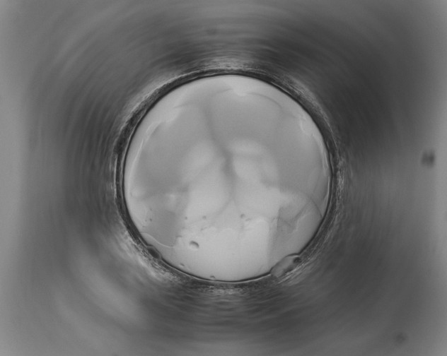 X0000114151035200911051438