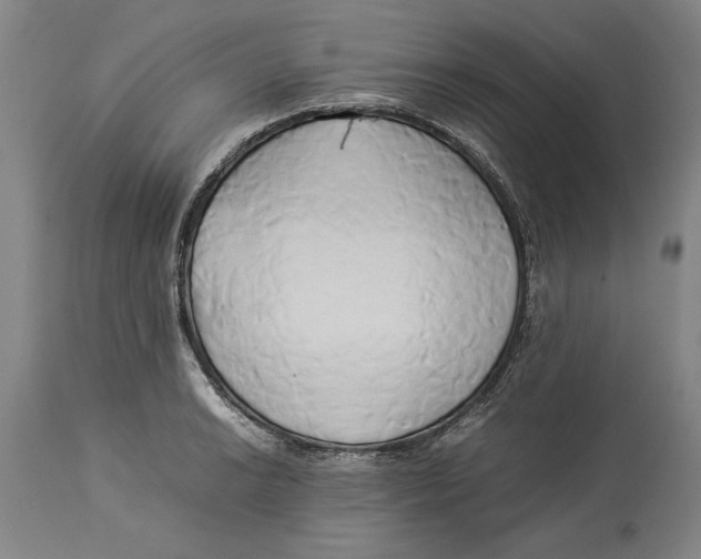 X0000114151038200911051438