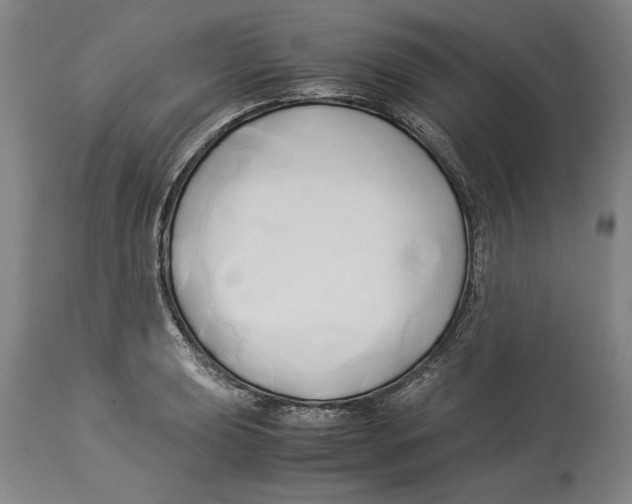 X0000114151039200911051438