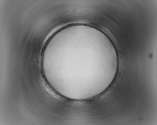 X0000114151044200911051438