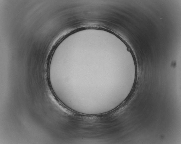 X0000114151045200911051438