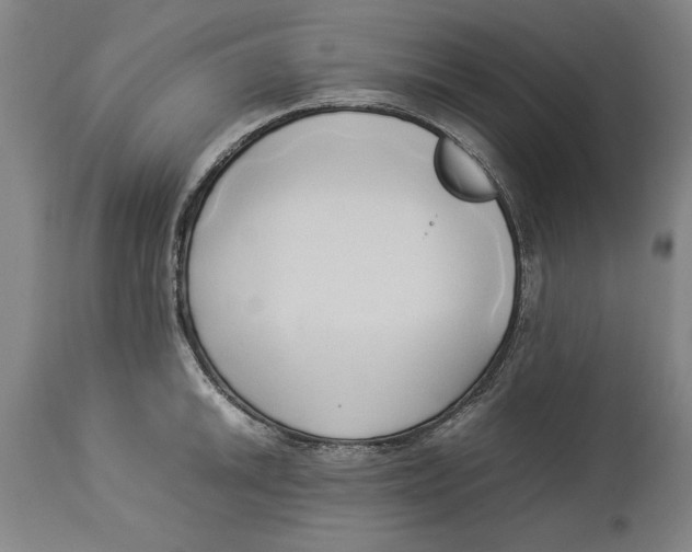 X0000114151046200911051438