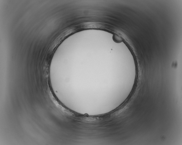 X0000114151049200911051438
