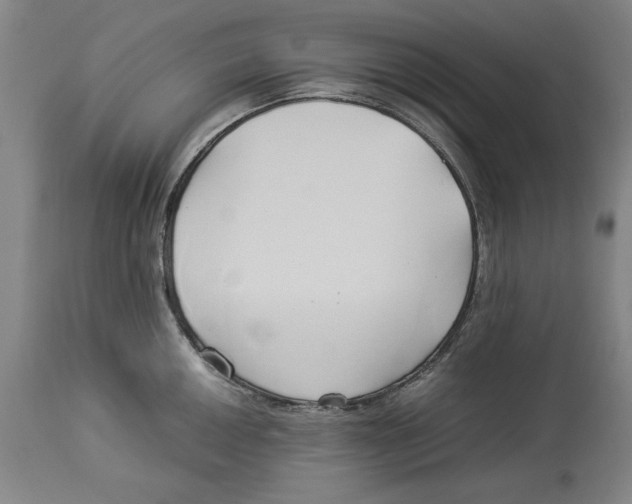 X0000114151050200911051438