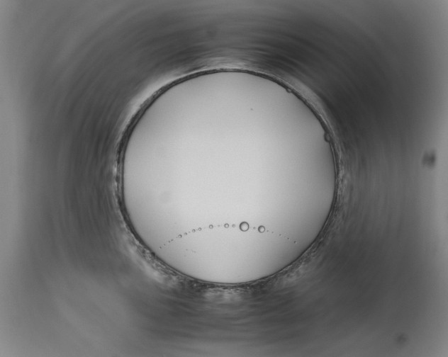 X0000114151051200911051438