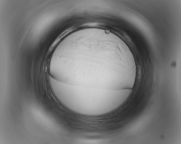 X0000114151052200911051438