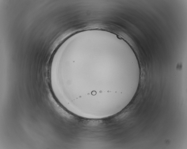 X0000114151055200911051438