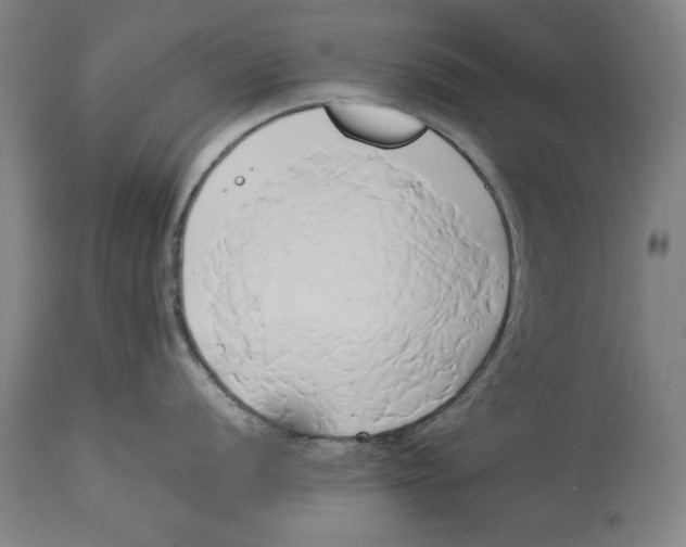 X0000114151056200911051438