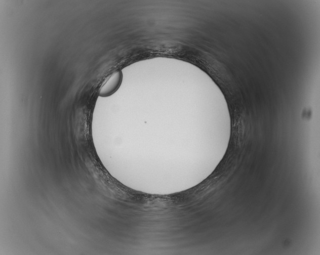 X0000114151058200911051438