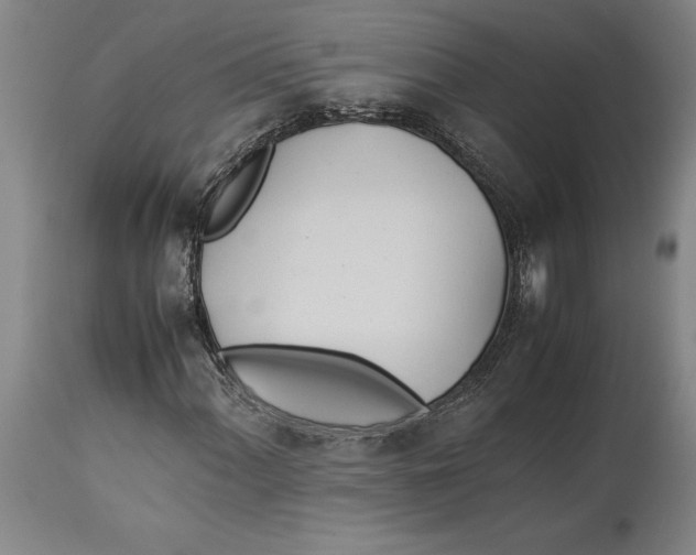 X0000114151060200911051438