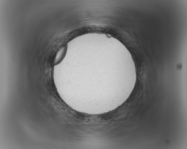 X0000114151061200911051438