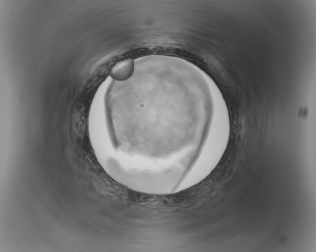 X0000114151063200911051438