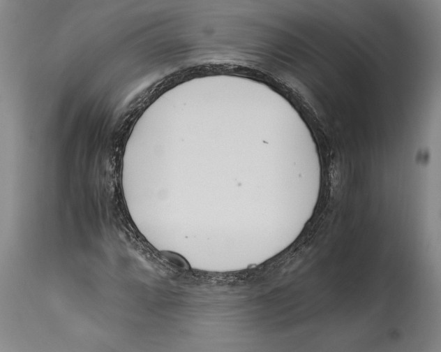 X0000114151064200911051438