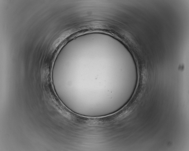 X0000114151065200911051438