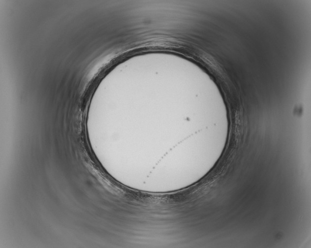 X0000114151067200911051437