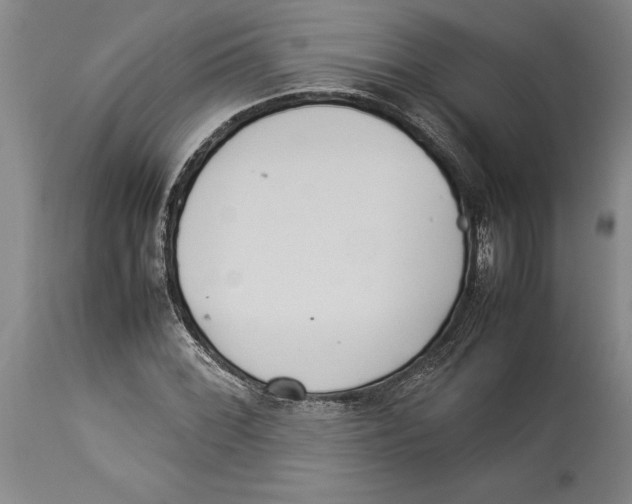 X0000114151068200911051437