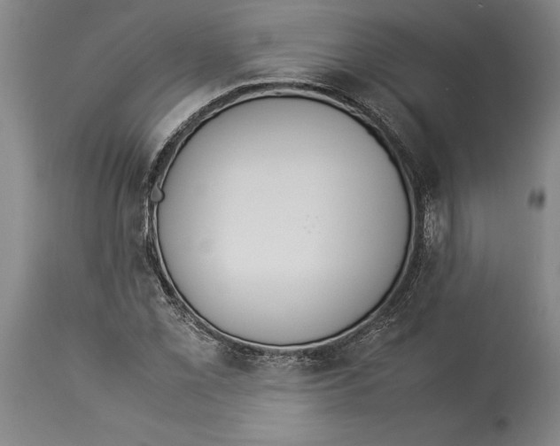 X0000114151069200911051437