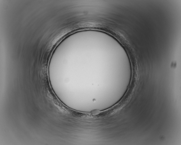 X0000114151073200911051437