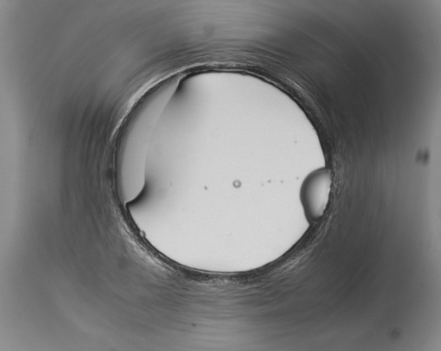X0000114151075200911051437