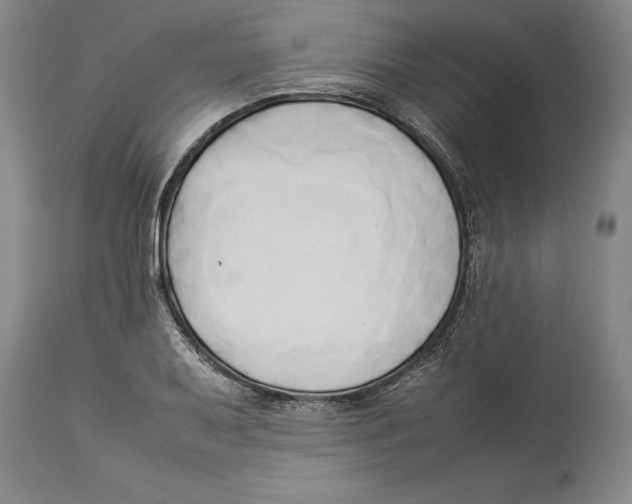 X0000114151079200911051437