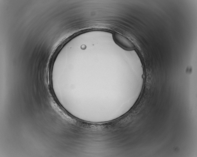 X0000114151080200911051437