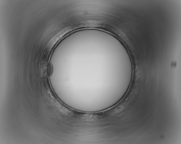 X0000114151081200911051437