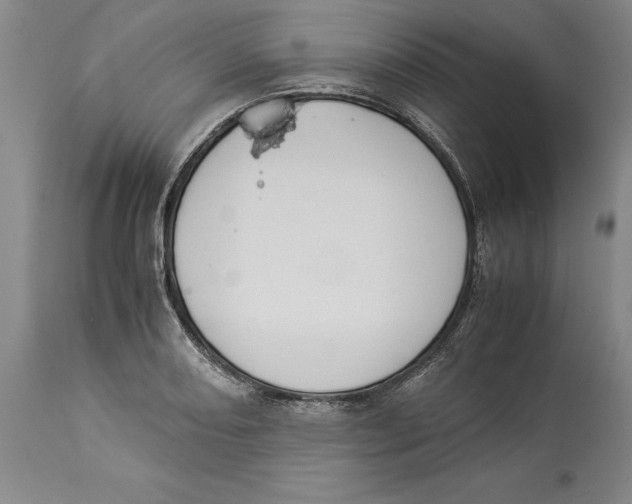 X0000114151082200911051437