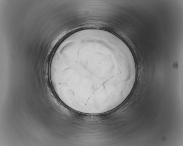 X0000114151083200911051437