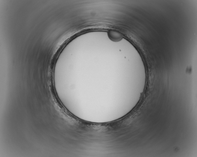 X0000114151085200911051437