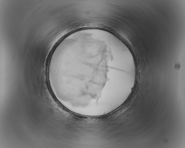 X0000114151087200911051437