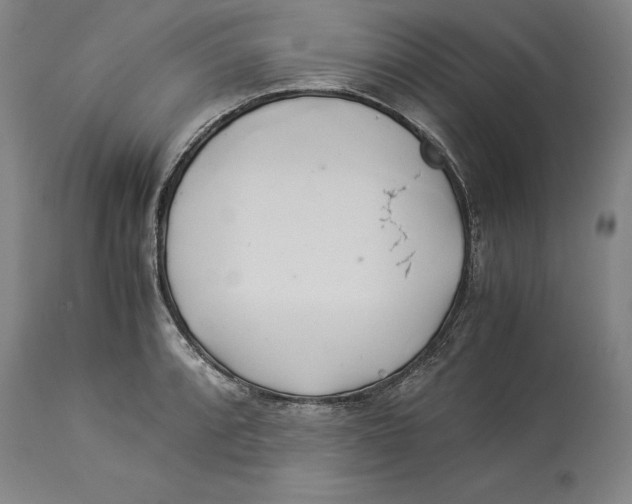 X0000114151088200911051437