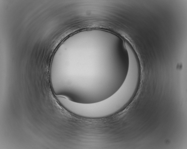 X0000114151089200911051437
