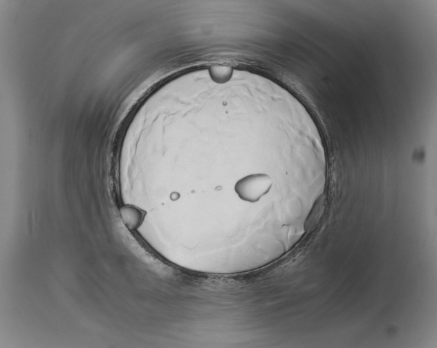 X0000114151091200911051437