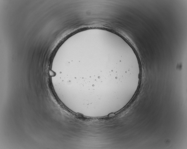 X0000114151093200911051437