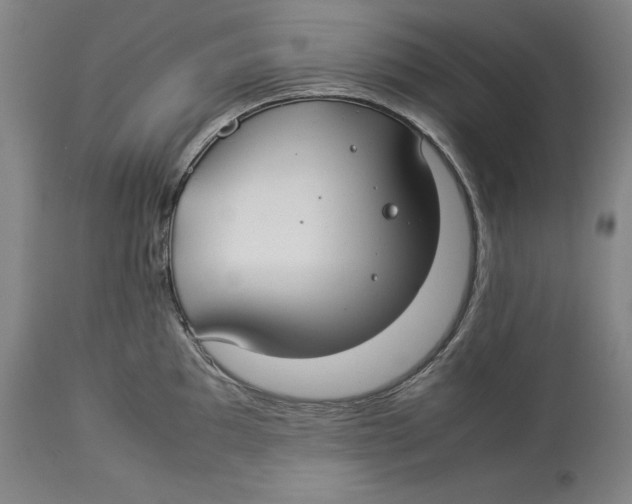 X0000114151097200911051437