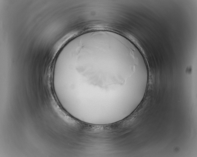 X0000114151098200911051437