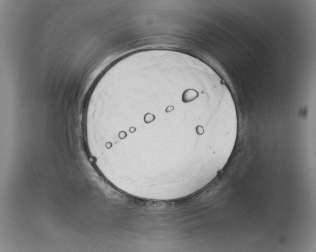 X0000114151099200911051437