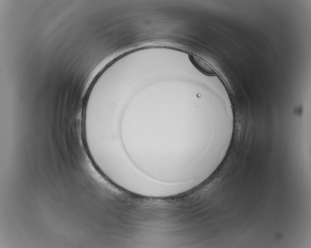 X0000114151100200911051437