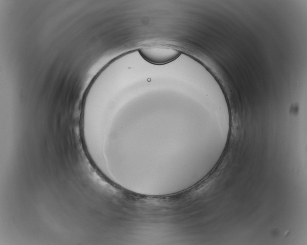 X0000114151102200911051437