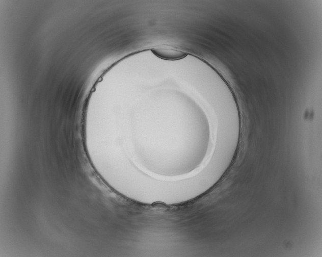 X0000114151104200911051437