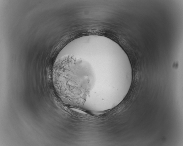 X0000114151106200911051436