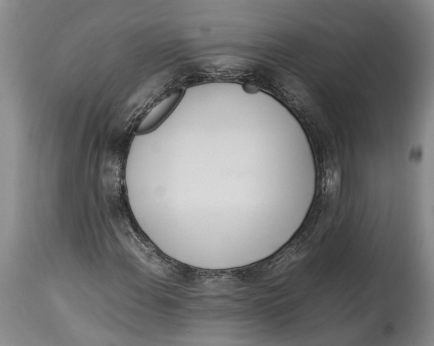 X0000114151108200911051436