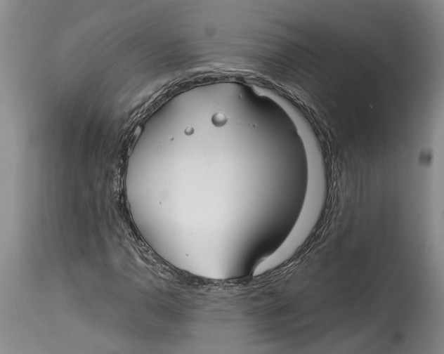 X0000114151110200911051436